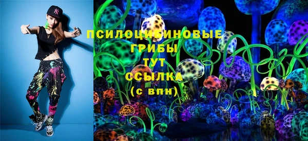 Альфа ПВП Алзамай