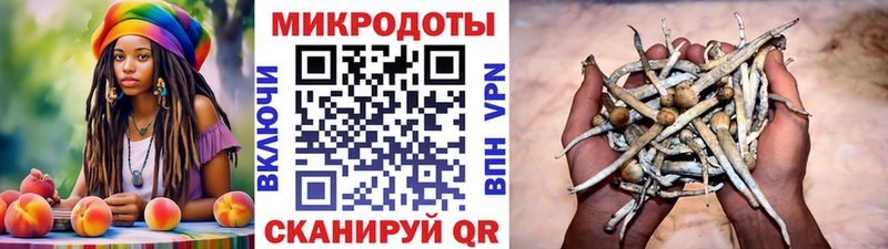 как найти   Печоры  Псилоцибиновые грибы ЛСД 